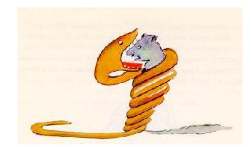 snake