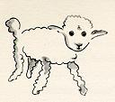sheep