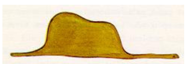 snake-hat